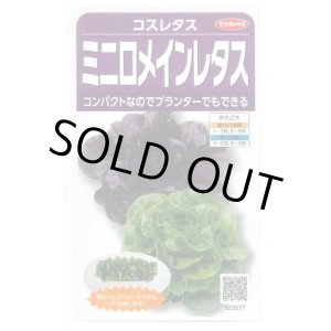 画像: 送料無料　[レタス]　コスレタス　ミニロメインレタス　40粒　(株)サカタのタネ　実咲450（003954）