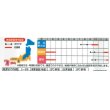 画像3: [大根]　　冬しぐれ　（約150粒）  サカタのタネ（株）実咲400 (3)