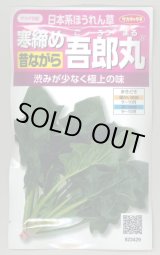 画像: [ほうれんそう]　　寒締め吾郎丸　25ml　サカタのタネ（株） 実咲200