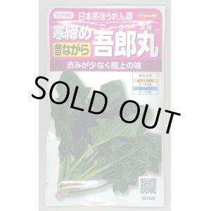 画像: [ほうれんそう]　　寒締め吾郎丸　25ml　サカタのタネ（株） 実咲200