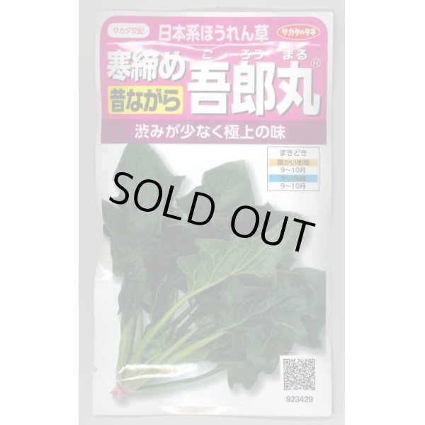 画像1: [ほうれんそう]　　寒締め吾郎丸　25ml　サカタのタネ（株） 実咲200 (1)