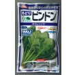 画像1: 送料無料　[ほうれんそう]　ピンドン　100ml　(約4000粒)(株)サカタのタネ　実咲PRO (1)