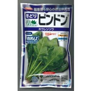 画像: 送料無料　[ほうれんそう]　ピンドン　100ml　(約4000粒)(株)サカタのタネ　実咲PRO