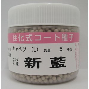 画像: [キャベツ]　送料無料！　新藍　コート５千粒　サカタ交配　