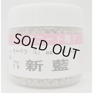 画像: 送料無料　[キャベツ]　新藍　コート5千粒　（株）サカタのタネ