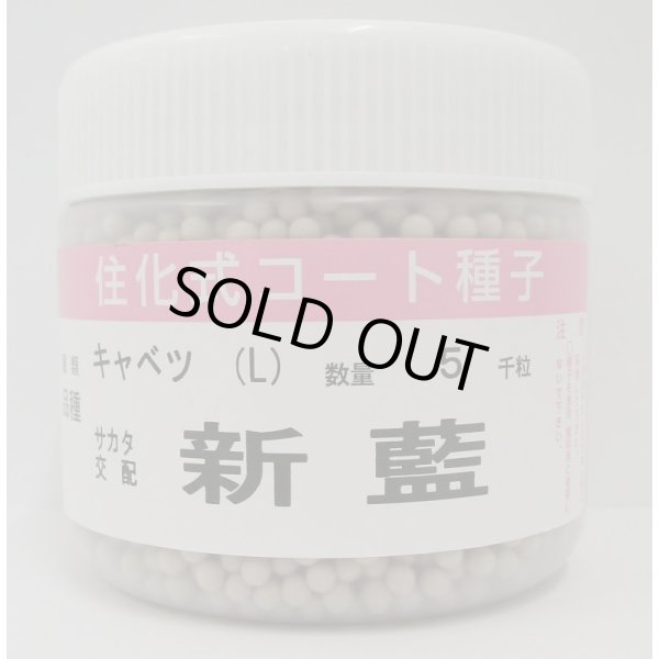 画像1: 送料無料 [キャベツ] 新藍 ペレット種子5千粒 （株）サカタのタネ (1)