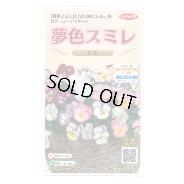 画像1: 花の種 パンジー 夢色スミレ 恋桜 約50粒 (株)サカタのタネ 実咲500（028146） (1)