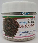 画像: [レタス]　レッドファルダー　ペレット5千粒　タキイ種苗(株)