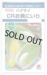 画像: 送料無料　[白菜]　CRお黄にいり　1.8ml（約300粒）　貴種(コートしてません)　タキイ種苗(株)　DF