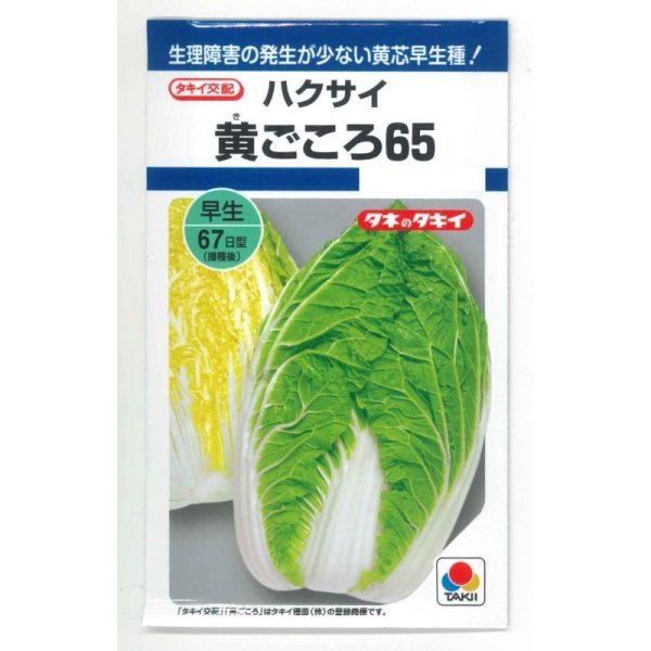 画像1: [白菜] 黄ごころ65 1ml(約130粒)タキイ種苗(株) DF (1)
