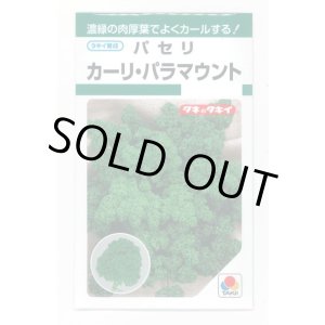 画像: 送料無料　パセリ　カーリ・パラマウント(約620粒)　タキイ種苗　GF