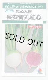 画像: 送料無料　[大根]　長安青丸　紅心大根　9ml　タキイ種苗(株)　GF