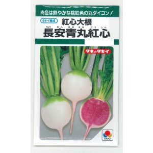 画像: 送料無料　[大根]　長安青丸　紅心大根　9ml　タキイ種苗(株)　GF