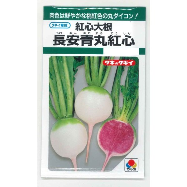 画像1: 送料無料　[大根]　長安青丸　紅心大根　9ml　タキイ種苗(株)　GF (1)