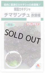 画像: 送料無料　[レタス]　チマサンチュ　赤葉種　0.9ml　タキイ種苗　GF