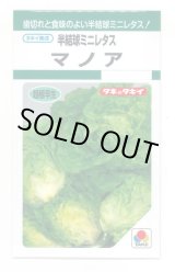 画像: 送料無料　[レタス]　半結球ミニレタス　マノア　1.8ml　タキイ種苗(株)　GF