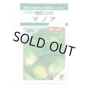 画像: 送料無料　[レタス]　半結球ミニレタス　マノア　1.8ml　タキイ種苗(株)　GF