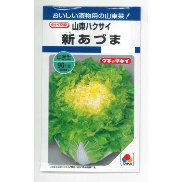 画像1: [白菜] 新あづま 2.2ml(約360粒) タキイ種苗(株) DF (1)