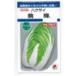 画像1: 送料無料　[白菜]　晩輝　2ml　タキイ種苗(株)　DF (1)