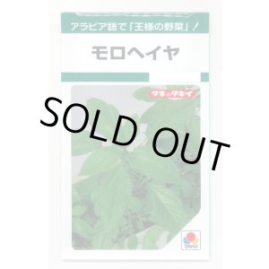 画像: 送料無料　モロヘイヤ　1.5ml　タキイ種苗(株)　GF