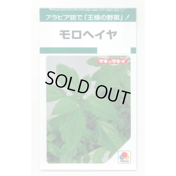 画像1: 送料無料　モロヘイヤ　1.5ml　タキイ種苗(株)　GF (1)