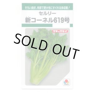 画像: 送料無料　新コーネル619号　0.8ml　タキイ種苗　GF
