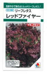 画像: 送料無料　[レタス]　リーフレタス　レッドファイヤー　1.3ml　タキイ種苗(株)　GF