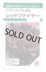 画像: 送料無料　[レタス]　リーフレタス　レッドファイヤー　1.3ml　タキイ種苗(株)　GF