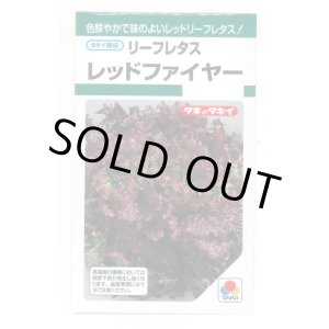 画像: 送料無料　[レタス]　リーフレタス　レッドファイヤー　1.3ml　タキイ種苗(株)　GF