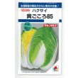 画像1: 送料無料　[白菜]　黄ごころ85　1ml　タキイ種苗(株)　DF (1)