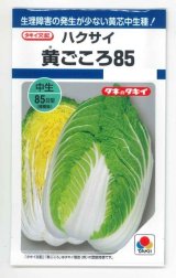 画像: [白菜] 黄ごころ85 1ml(約130粒) タキイ種苗(株) DF