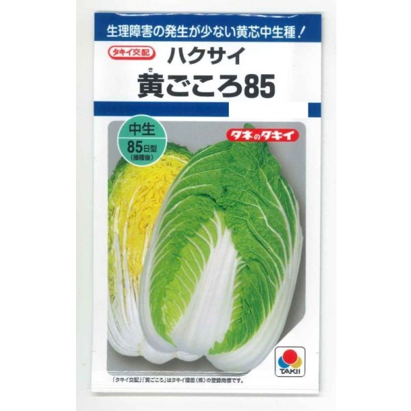 画像1: 送料無料　[白菜]　黄ごころ85　1ml（約130粒）　タキイ種苗(株)　DF (1)
