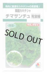 画像: 送料無料　[レタス]　チマサンチュ　青葉種　0.9ml　タキイ種苗　GF