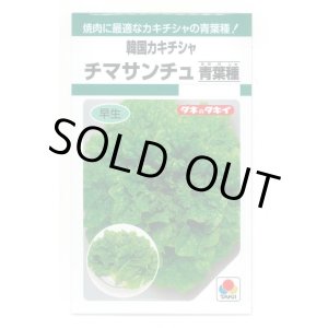 画像: 送料無料　[レタス]　チマサンチュ　青葉種　0.9ml　タキイ種苗　GF