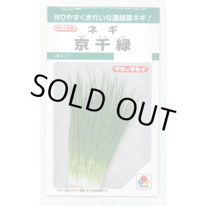 画像: [ねぎ] ねぎ　京千緑 15ml タキイ種苗（株） GF