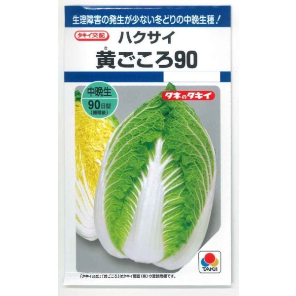 画像1: [白菜] 黄ごころ90 1ml(約220粒) タキイ種苗(株) DF (1)