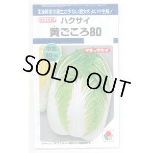 画像: [白菜]　黄ごころ80　1ｍｌ　タキイ種苗（株）　DF