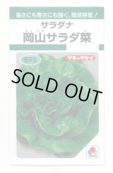 画像: サラダナ 岡山サラダ菜 1.4ml タキイ種苗(株) GF