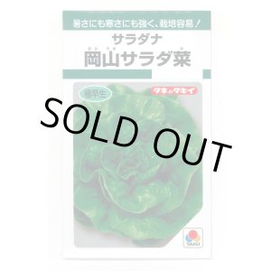 画像: サラダナ 岡山サラダ菜 1.4ml タキイ種苗(株) GF