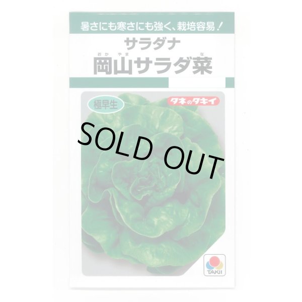 画像1: サラダナ 岡山サラダ菜 1.4ml タキイ種苗(株) GF (1)