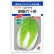 画像1: 送料無料　[白菜]　耐病六十日　2.2ml　タキイ種苗(株)　DF (1)