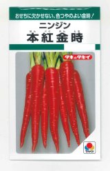 画像: 送料無料　[人参]　本紅金時　7ml　タキイ種苗　GF