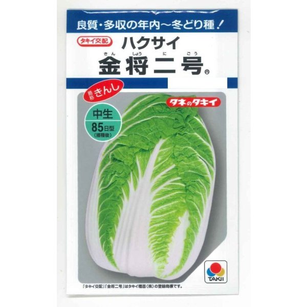 画像1: 送料無料　[白菜]　金将二号　2.2ml(およそ280粒)　タキイ種苗(株)　DF (1)