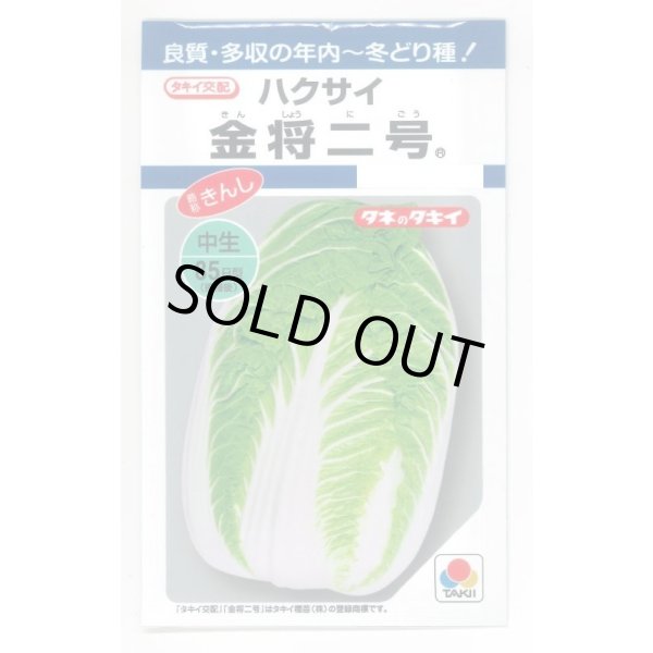 画像1: 送料無料　[白菜]　金将二号　2.2ml(およそ370粒)　タキイ種苗(株)　DF (1)