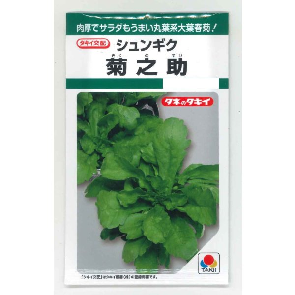 画像1: 送料無料　[春菊]　春菊　菊之助　22ml　タキイ種苗(株)　GF (1)