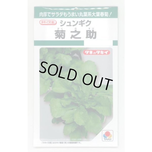 画像1: 送料無料　[春菊]　春菊　菊之助　22ml　タキイ種苗(株)　GF (1)