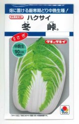 画像: [白菜] 冬峠 2.2ml(約380粒) タキイ種苗(株) DF