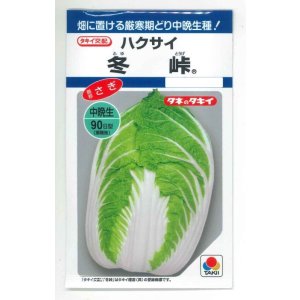 画像: 送料無料　[白菜]　冬峠　2.2ml（約380粒）　タキイ種苗(株)　DF