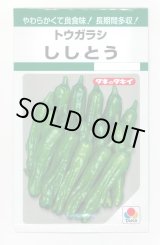画像: 送料無料　[ししとう]　ししとう　135粒　タキイ種苗　GF
