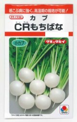 画像: [かぶ]　ＣＲもちばな　3.5ml　タキイ種苗（株）　RF　